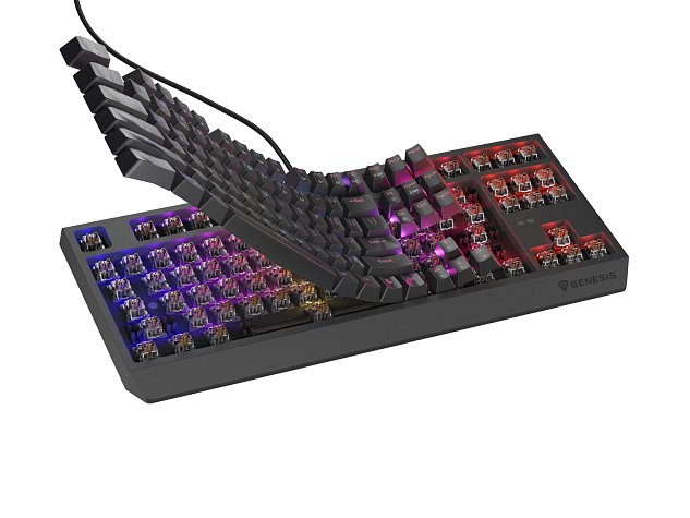 Genesis herní klávesnice THOR 230/TKL/RGB/Outemu Brown/Drátová USB/US layout/Černá