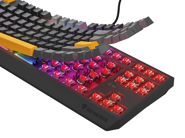 Genesis herní klávesnice THOR 230/TKL/RGB/Outemu Red/Drátová USB/US layout/Anchor Positive Šedá