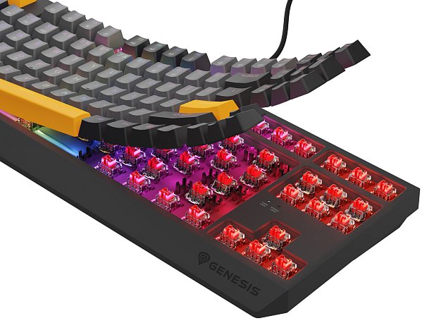 Genesis herní klávesnice THOR 230/TKL/RGB/Outemu Red/Drátová USB/US layout/Anchor Negative Šedá