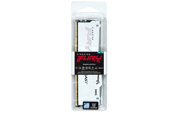 Kingston FURY Beast/DDR5/16GB/6800MHz/CL34/1x16GB/RGB/White