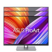 ASUS ProArt/PA248CRV/24,1