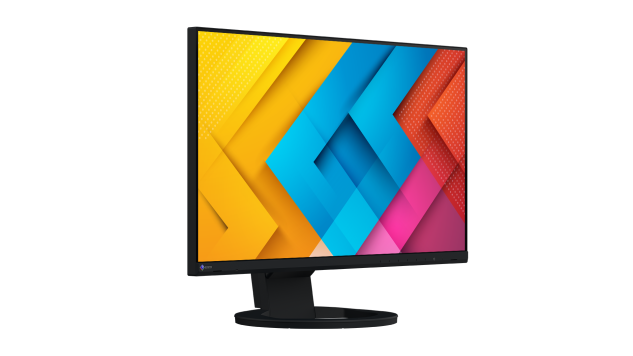 EIZO FlexScan/EV2490-BK/24