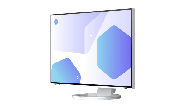 EIZO FlexScan/EV2485-WT/24