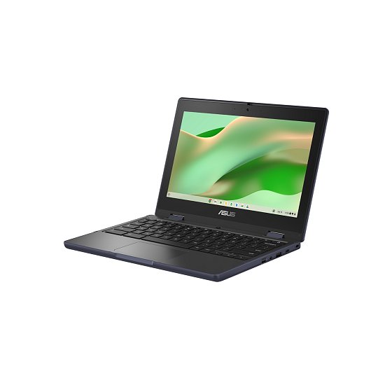 ASUS Chromebook CR11 Flip/CR1102FGA/N100/11,6