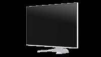 EIZO FlexScan/EV3240X-WT/31,5