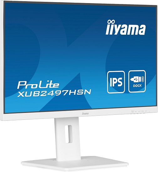 iiyama ProLite/XUB2497HSN-W1/23,8