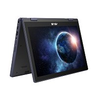 ASUS ExpertBook BR/BR1204FGA/N100/12,2