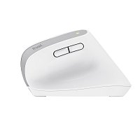 TRUST BAYO+ ERGONOMIC WIRELESS MOUSE WHT