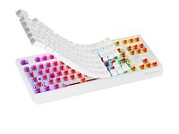 Genesis herní klávesnice THOR 230/TKL/RGB/Outemu Red/Drátová USB/US layout/Bílá