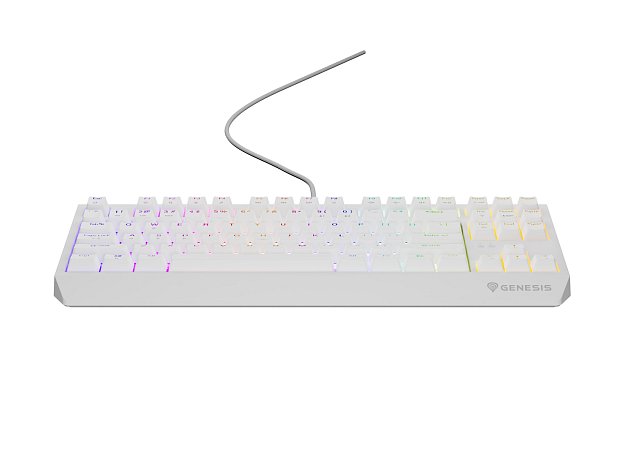 Genesis herní klávesnice THOR 230/TKL/RGB/Outemu Brown/Drátová USB/US layout/Bílá