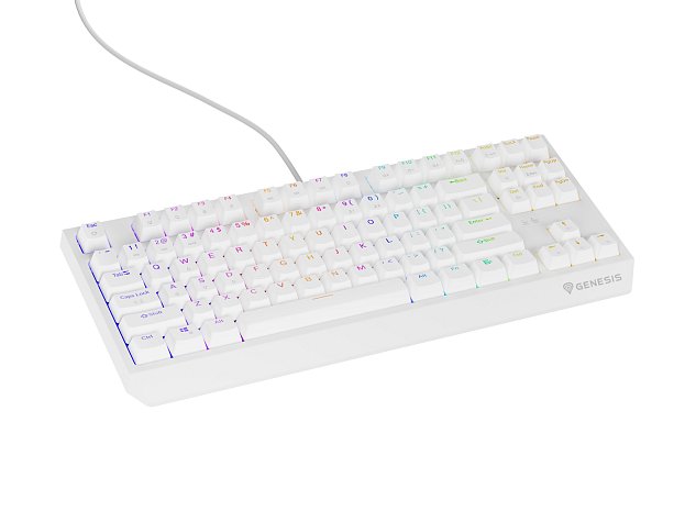 Genesis herní klávesnice THOR 230/TKL/RGB/Outemu Brown/Drátová USB/US layout/Bílá