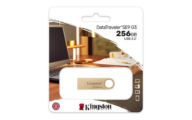 256GB Kingston USB 3.2 DTSE9 220/100MB/s