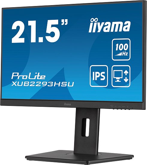 iiyama ProLite/XUB2293HSU-B6/21,5