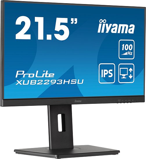 iiyama ProLite/XUB2293HSU-B6/21,5