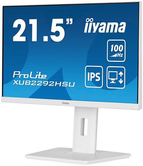 iiyama ProLite/XUB2292HSU-W6/21,5