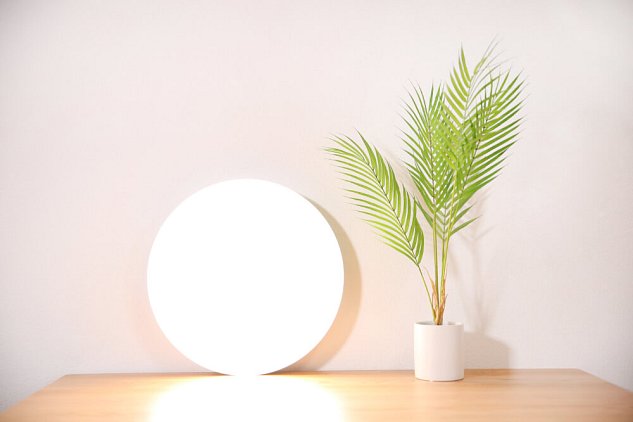 Xiaomi Mi Smart LED Ceiling Light (350mm)