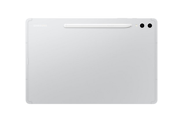 Samsung Galaxy Tab S10+/SM-X820/12,4