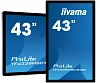 43" iiyama TF4339MSC-B1AG: AMVA, FullHD, capacitive, 12P, 400cd/m2, VGA, HDMI, DP, 24/7, IP54, černý