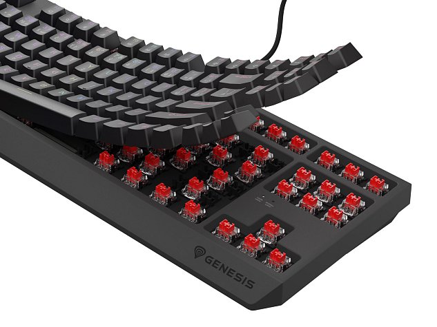 Genesis herní klávesnice THOR 230/TKL/RGB/Outemu