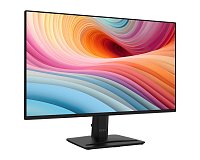 MSI PRO MP252 E2 24,5