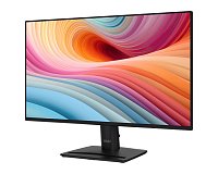 MSI PRO MP252 E2 24,5