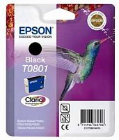 R265/360,RX560 Black Ink cartridge (T0801)