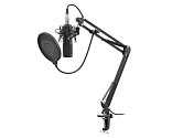 Streamovací mikrofon Genesis Radium 300,XLR, kardioidní polarizace, ohybné rameno, pop-filter Streamovací mikrofon Genesis Radium 300,XLR, kardioidní polarizace, ohybné rameno, pop-filter
