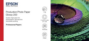 EPSON Production Photo Paper Glossy 200 44