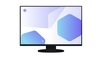 EIZO FlexScan/EV2485-BK/24