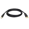 Tripplite Kabel USB-A / USB-B (Samec/Samec), USB 2.0, 3.05m