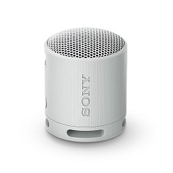 Sony SRS-XB100, šedá
