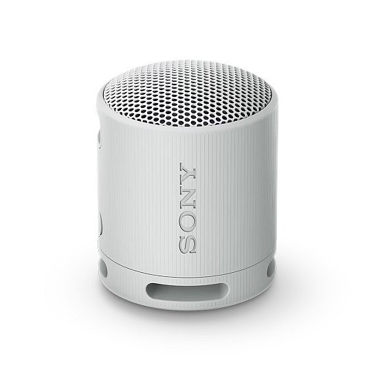 Sony SRS-XB100, šedá