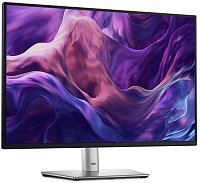 Dell/P2425E/24,07