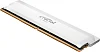 16GB DDR5 6000MHz Crucial Pro OC CL36 w