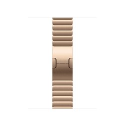 Watch Acc/42/Gold Link Bracelet