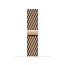 Watch Acc/42/Gold Milan.Loop