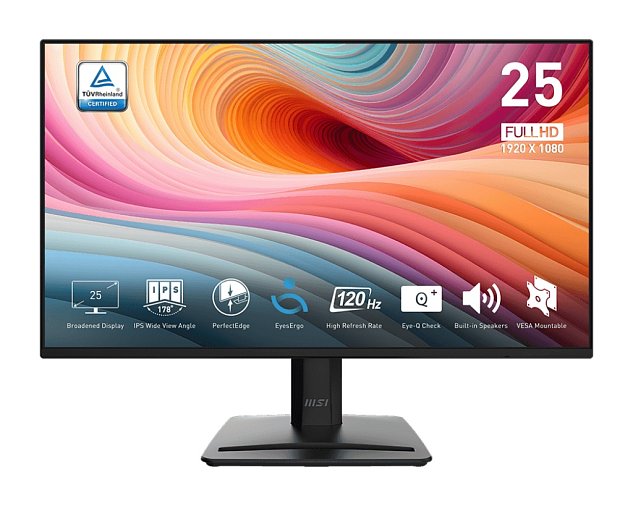 MSI PRO MP252 E2 24,5