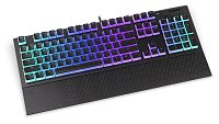 Endorfy Omnis Pudding Blue/Drátové USB-A/US layout/Černá