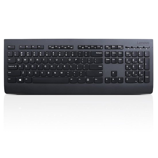 Lenovo Professional Wireless Keyboard and Mouse SK
