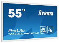 55 55