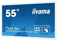 55 55
