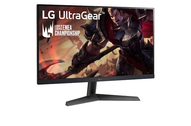 LG UltraGear/24GS60F-B/23,8