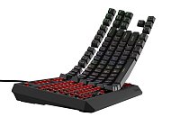 Genesis herní klávesnice THOR 230/TKL/RGB/Outemu Red/Drátová USB/US layout/Černá Genesis herní klávesnice THOR 230/TKL/RGB/Outemu Red/Drátová USB/US layout/Černá