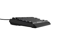 Genesis herní klávesnice THOR 230/TKL/RGB/Outemu Brown/Drátová USB/US layout/Černá Genesis herní klávesnice THOR 230/TKL/RGB/Outemu Brown/Drátová USB/US layout/Černá