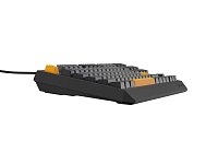 Genesis herní klávesnice THOR 230/TKL/RGB/Outemu Red/Drátová USB/US layout/Anchor Negative Šedá Genesis herní klávesnice THOR 230/TKL/RGB/Outemu Red/Drátová USB/US layout/Anchor Negative Šedá