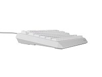 Genesis herní klávesnice THOR 230/TKL/RGB/Outemu Red/Drátová USB/US layout/Bílá Genesis herní klávesnice THOR 230/TKL/RGB/Outemu Red/Drátová USB/US layout/Bílá