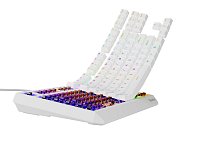 Genesis herní klávesnice THOR 230/TKL/RGB/Outemu Brown/Drátová USB/US layout/Bílá Genesis herní klávesnice THOR 230/TKL/RGB/Outemu Brown/Drátová USB/US layout/Bílá