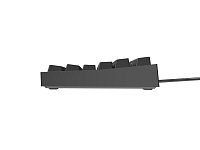 Genesis herní mechanická klávesnice THOR 404/RGB/Gateron Yellow Pro/Drátová USB/US layout/Černá Genesis herní mechanická klávesnice THOR 404/RGB/Gateron Yellow Pro/Drátová USB/US layout/Černá