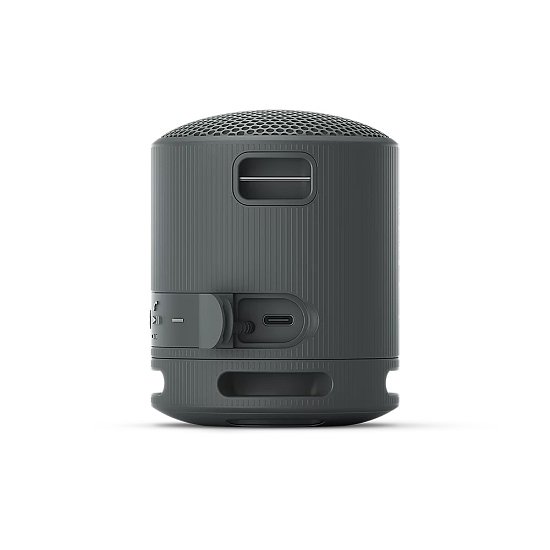 Sony SRS-XB100, černá