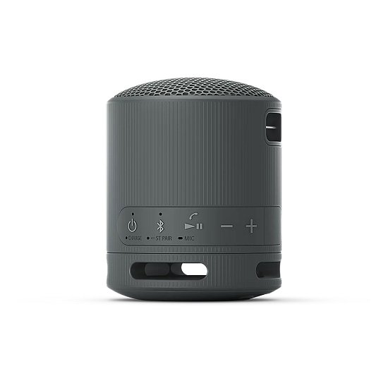 Sony SRS-XB100, černá